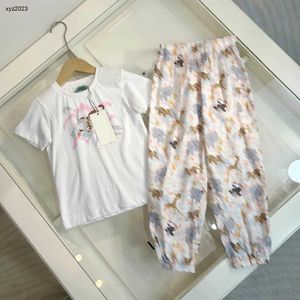 Fashion Baby Tracksuits Summer Kids Designer Clothes Taille 90-160 cm Tiger Pattern Print T-shirt et divers pantalons imprimés d'animaux 24Pril