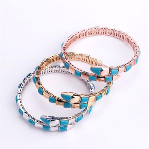 Modemerk sieraden Dame Messing Parelmoer Turquoise Enkele Cirkels Slang Slangachtige 18K Gouden Bruiloft Verloving Open Bracele231S