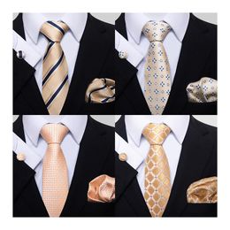 Marque de mode soie cadeau de fête cravate mouchoir bouton de manchette ensemble cravate Mans chemise à carreaux accessoires or