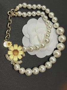 Fashion Classic De 100 -jarig jubileumontwerper Pearl ketting voor vrouwen Men Feest trouwliefhebbers Moederdag Gift sieraden voor bruid met flanellen tas