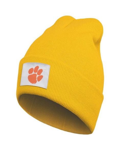 Fashion Clemson Tigers Logo Winter Ski Boneie Skull Chapeaux de football Brim Football Football 2018 National S Logo Flag8207175