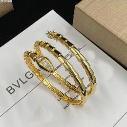 modeontwerper Bracelet Snake Bangle Luxe sieradenontwerpers Women Rise Gold Silver Open verstelbare luxe armbanden Diamond manchet Hip Hop Jewelrys Party Gift