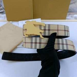 Cinturón de lujo de la marca de diseñador de moda Cinturones de lujo para el hombre Gold Silver Hebilla Cinta Cinta Cintura For Women Ancho de 3.8 cm Ceintura a doble cara rayada