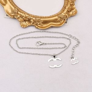 Mode designer ketting hanger kettingen ontwerper goud vergulde roestvrij staal eenvoudige trui ketting voor vrouwen bruiloft hoge kwaliteit sieraden geen doos 20stijl