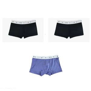 Créateur de mode sous-vêtements Calvins Boxer MARQUER Sous-vêtements Bouleur à gravité moderne Sous-vêtements pour le lettre de sous-vêtements pour hommes sous-vêtements High Street 951