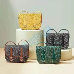 Sacs à bandoulière de styliste pour femmes, sacoche classique moderne, sac à main de tempérament, fourre-tout de luxe, portefeuille 11 couleurs