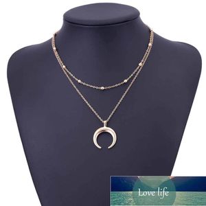 Collier Double corne à la mode, croissant de lune, bijoux Boho, cadeau minimal pour petite amie