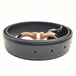 Mode Echt Leer Heren Designer Gesp Vrouwen Effen Tailleband Unisex Zwart Bruin Riemen 100-125