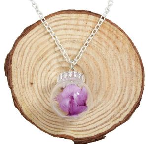 Collier avec pendentif en forme de bouteille en verre pour femmes, pendentif en fleurs séchées, en alliage, chaîne à maillons, fleurs faites à la main, bijoux transparents