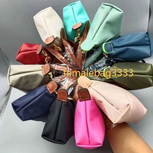 billetera de liquidación de bolsos de moda en bolsas de diseño al por mayor bolsas minorista diseñador de cuerpo transversal bolsas de bolsas de albóndigas paquetes de bolso de bolsillo de nylon mini mini