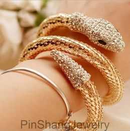 Fashion Ins Designer unique exagéré Diamond Zirconia Twisted Animal Snake Bangle Bracelet For Woman Girls Open Ajustement