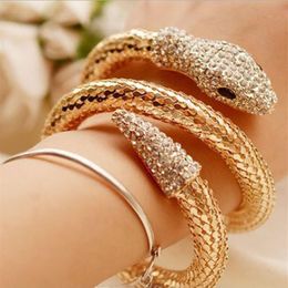 Fashion ins Unique Designer exagéré Diamond Zirconia Ed Animal Snake Bangle Bracelet For Woman Girls Open Adjustable272X