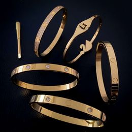 Mode sieraden Goud vergulde roestvrijstalen zwarte zwaan schroevendraaier liefde bangle armband