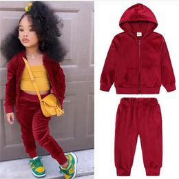 Mode enfants vêtements ensembles fille garçon sweats à capuche enfant en bas âge bébé pleuche manteaux hauts + pantalons 2 pièces costume enfants survêtement tenue