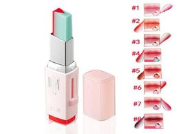 Fashion coréen bouché rouge à lèvres V Coupe à deux tons Tint Silky Hydrzing Nourishing Lipsticks Balm LIP COSMETIC9831023