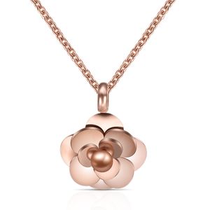 Version mode-coréenne de collier pour femme en acier titane couleur plaqué or collier en or rose 18 carats ornement collier de chaîne de clavicule