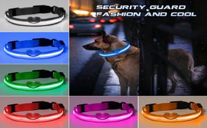 Colliers de chien en nylon LED de mode Harnais de chat clignotant éclairé la nuit Collier de sécurité pour animaux de compagnie multicolore Taille SXL Accessoires de Noël 5704238