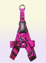 Fashion Lettre motif colliers de chien LEASHES Set Designer Dog Dog Harness Lash Safety Belt for Small Medium gros chiens chat Golden Frenc5143304