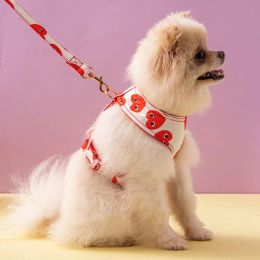 Mode brief huisdier lood leashes voor honden katten nylon walk honden riem outdoor beveiligingstraining luxe ontwerper huisdierharnas Franse bulldog chihuahua schnauzer