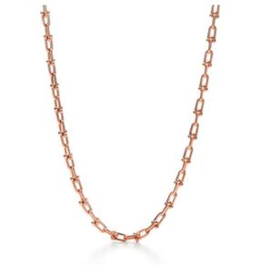 Colliers de luxe de mode Designer Rose Gold Platinum Hardwear Jewelry Horseshoe Chain Collier For Teen Girls Silver Party Diamonds Bijoux Wholesale5989126