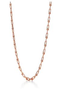 Colliers de luxe de mode Designer Rose Gold Platinum Hardwear Jewelry Horseshoe Chain Collier For Teen Girls Silver Party Diamonds Bijoux Wholesale3435498
