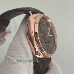 Fashion Luxury Penarrei Watch Designer Special Edition Watch Series Watch Dynamic Storage Dynamic Universal Time Calendar
