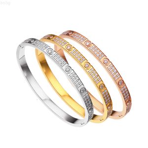 Mode luxe strass sieraden koper zirkoon roestvrij staal vergulde charme armbanden voor vrouwen
