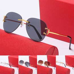 Mode mannen luipaard zonnebril voor dames randloze glazen klassieke metalen textuurontwerp gouden thee grijze vellen aanpasbaar recept elegante bril doos