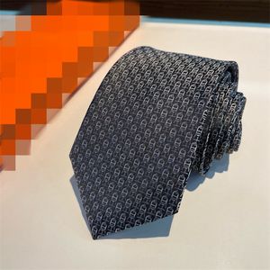 Fashion Men Ties Silk Tie 100% Designer Solid NecTie Jacquard Classic Stripes geweven handgemaakte stropdas voor mannen Wedding Casual en zakelijke stropdassen met doos 888