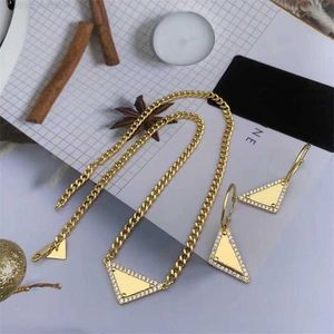 Mode Hommes et Femmes Colliers Pendentif Triangulaire Marque De Luxe Designer Hip Hop Punk Chaîne Épaisse Boucle D'oreille Femmes Argent Or