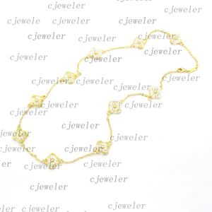 Mode ketting Vierbladige Bloem Elegante tien bloem klaver klassieke vc ketting voor vrouwen sieraden hanger hoogwaardige 30 kleur gift-1