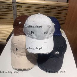 mode palmen TOP Originele standaard Luxe Designer Cap herenhoeden Merk Dameshoed Tennispet Hoeden zomer Hoeden Brede Rand Hoeden Emmer verchroomde Hoeden 369