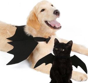 Fashion animal de compagnie cosplay vêtements chiens chats halloween costume noir b jlldje mx_home