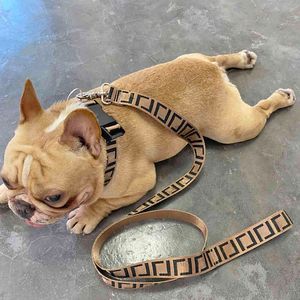 Mode Pet Dog Leash Collier Harnais De Luxe Grand Moyen Petit Combat Schnauzer Bulldog Teddy Laisses