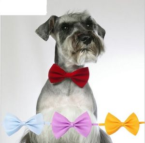 Mode Polyester Zijde Hond Das Verstelbare Knappe Ties Stropdas Hond Kat Grooming Levert Huisdieren Kleding Producten