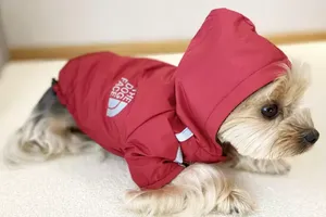 Mode Doux et Chaud Chiens À Capuche Designer Chien Vêtements Doggy Visage Pull Pet Manteau D'hiver Veste Temps Froid Vêtements pour Bouledogue Français