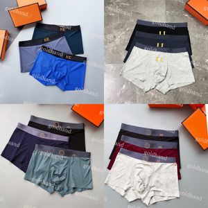 Mode Sport Hommes Sous-vêtements Boxers Dsigner Sous-vêtements respirants Sous-vêtements en coton de haute qualité