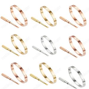 Mode roestvrijstalen zilveren 18K vergulde roségouden armband voor heren of dames topfabrikanten ontwerpen nobel en elegant265B