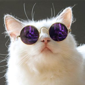 Styles de mode lunettes de soleil en métal pour animaux de compagnie cool chien et chat lunettes multiples options en gros