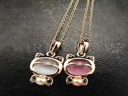 Mode Super mignon chat chanceux opale pull chaîne femmes collier bijoux 4ND19286x1030004