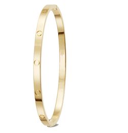 Mode dunne liefde gouden ketting armband schroef sieraden ontwerpers bangle rose goud Platina armbanden cadeau Titanium Staal volwassen 365mm b6223912