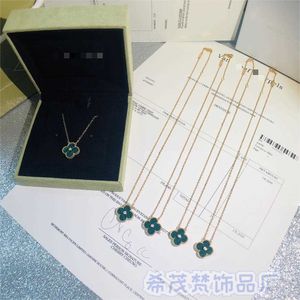 Fashion busje vier bladgras S925 Pure Silver Diamond Necklace Dames Natural Beimu Agate Pendant met logo