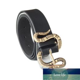 Mode Femmes Ceinture Nouvelle Boucle De Serpent Ceinture En Cuir Pu pour Dames Robe Jeans Vêtements Accessoires En Cuir Femmes Ceinture cinturon mujer Prix usine conception experte Qualité