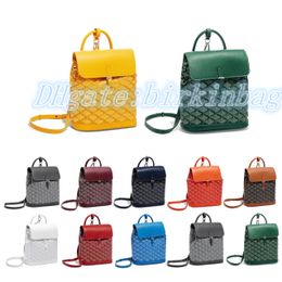 10a Mode Vrouwen groothandel Alpin Mini Rugzak tas Luxe Designer rits handtassen CrossBody tote Echt lederen boekentas schouder school heren portemonnees clutch Bags