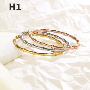 Modieuze ontwerp armband accessoires vrouwelijk accessoire high-end gevoel gouden niet-vervaging met carrtiraa originele armbanden