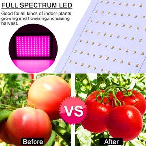 Livraison rapide 1800W 180*10W spectre complet 3030 lampe perle plante lampe contrôle unique noir matériau de qualité supérieure élèvent des lumières