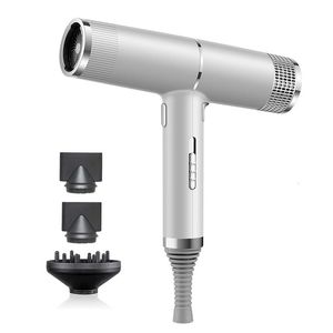 Fast Dry Hair Dryer Ionische salon Professionele hoge snelheid Blow voor krullende kroezenregeling Compacte föhn 240412