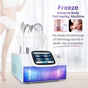 Coussinets cryogéniques pour l'élimination des graisses, Machine amincissante pour sculpter le corps, 4 tampons, équipement de Salon de beauté