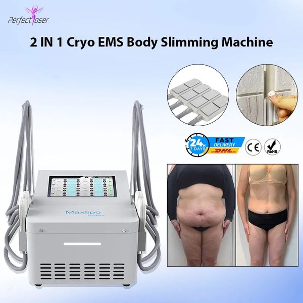 2 ans de garantie Cryo Fat Freezing Portable Réduction des graisses Serrage de la peau Applicateur de refroidissement Réduction de la cellulite Double menton Machine amincissante