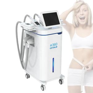 Vetbevriezing Fat Body Shaper Fat Freeze Lipo Verwijder afslankmachine voor arm Taille Dij Heup Schoonheidsapparaat